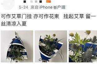 杨莉娜致谢球迷：你们的关注和支持，让我们的努力更有意义